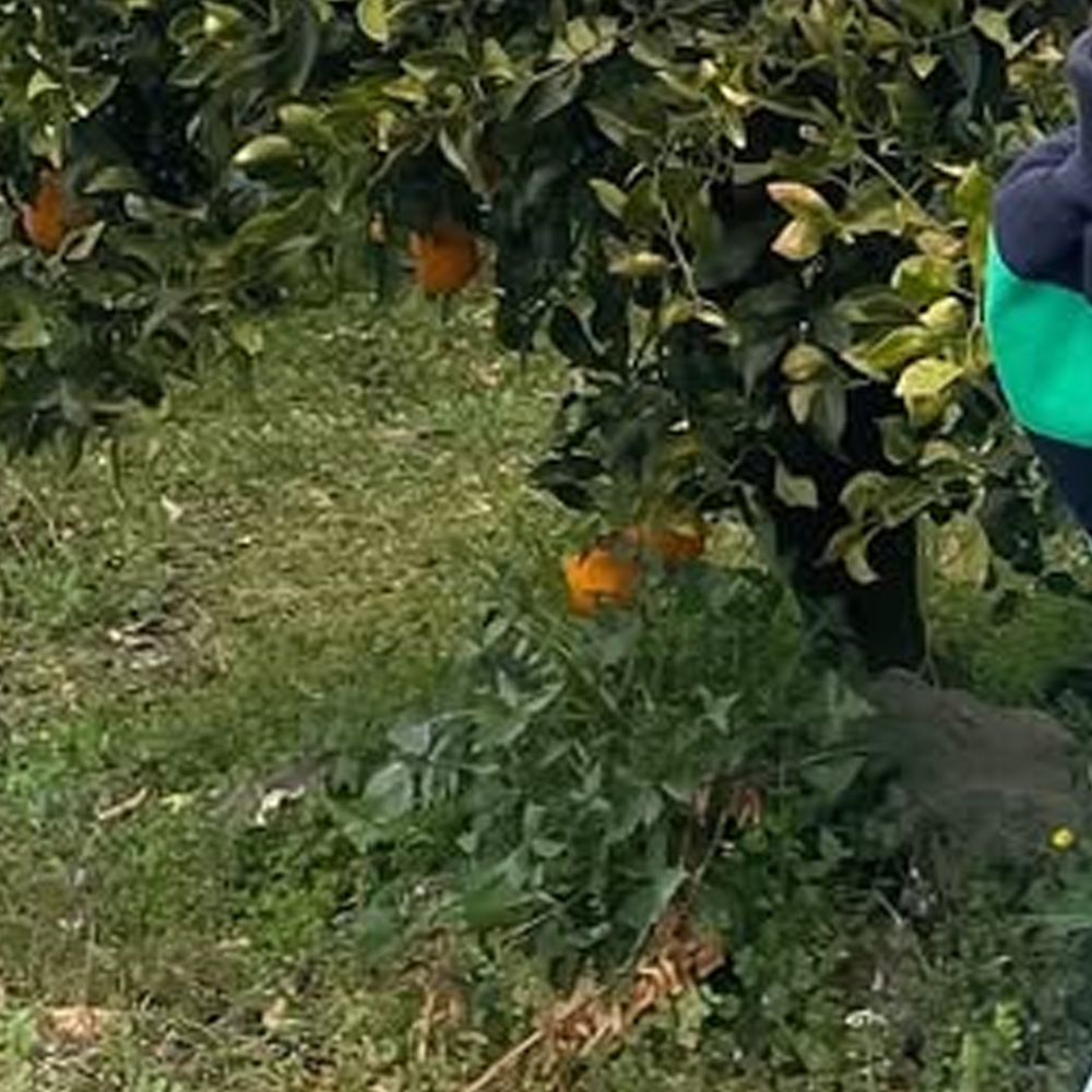 夏瑟 (ARTMS)粉丝拍下的瞬间