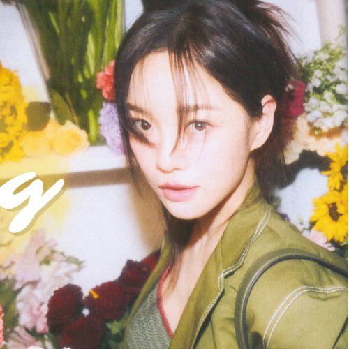 A moment captured by Sejeong's fan