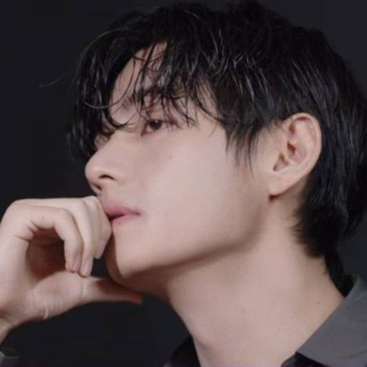 V (防彈少年團)粉絲拍下的瞬間