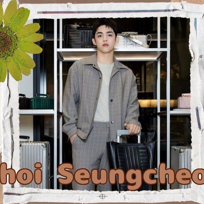 A moment captured by S.Coups (SEVENTEEN)'s fan