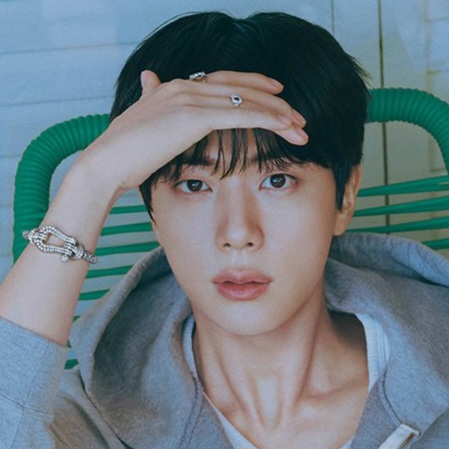 진 (방탄소년단) 팬이 찍은 순간