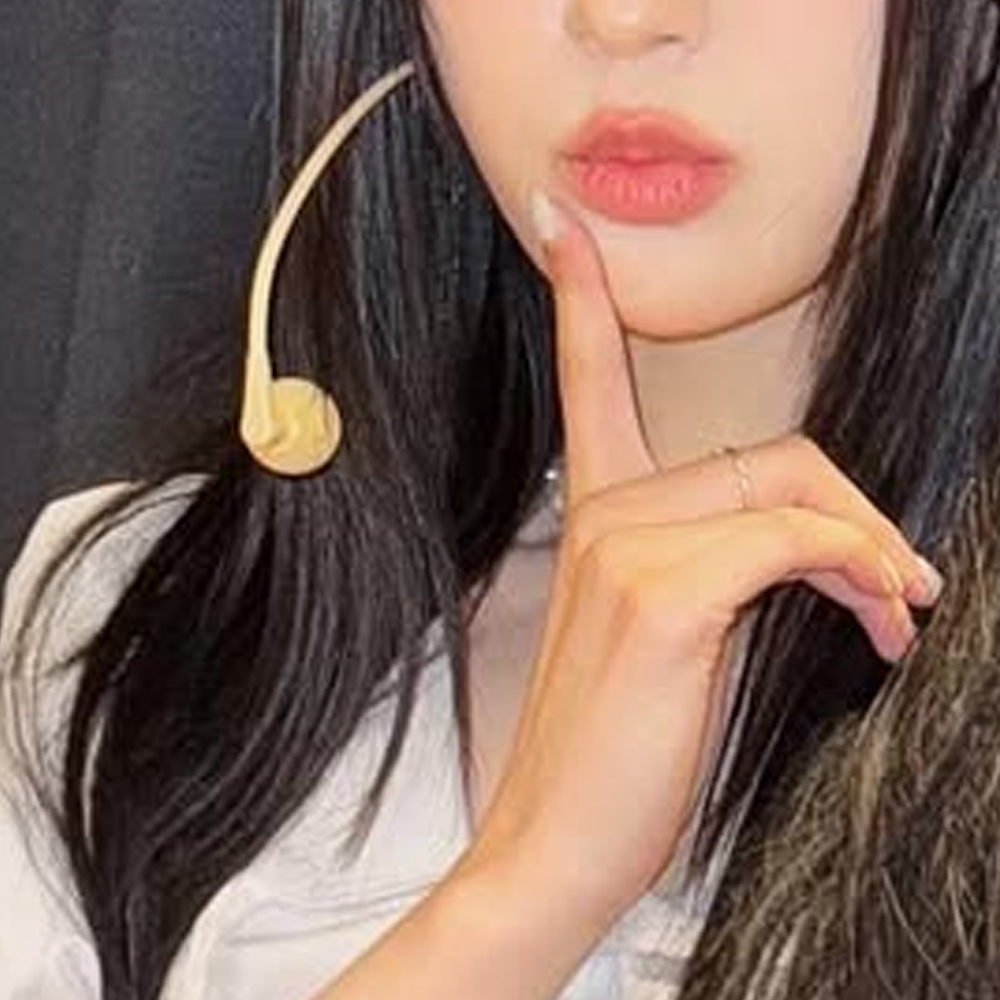 A moment captured by Choerry (ARTMS)'s fan