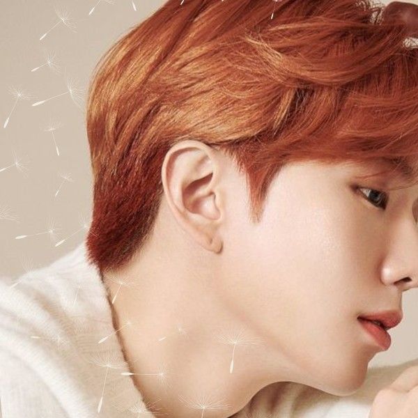 기현 (몬스타엑스) 팬이 찍은 순간