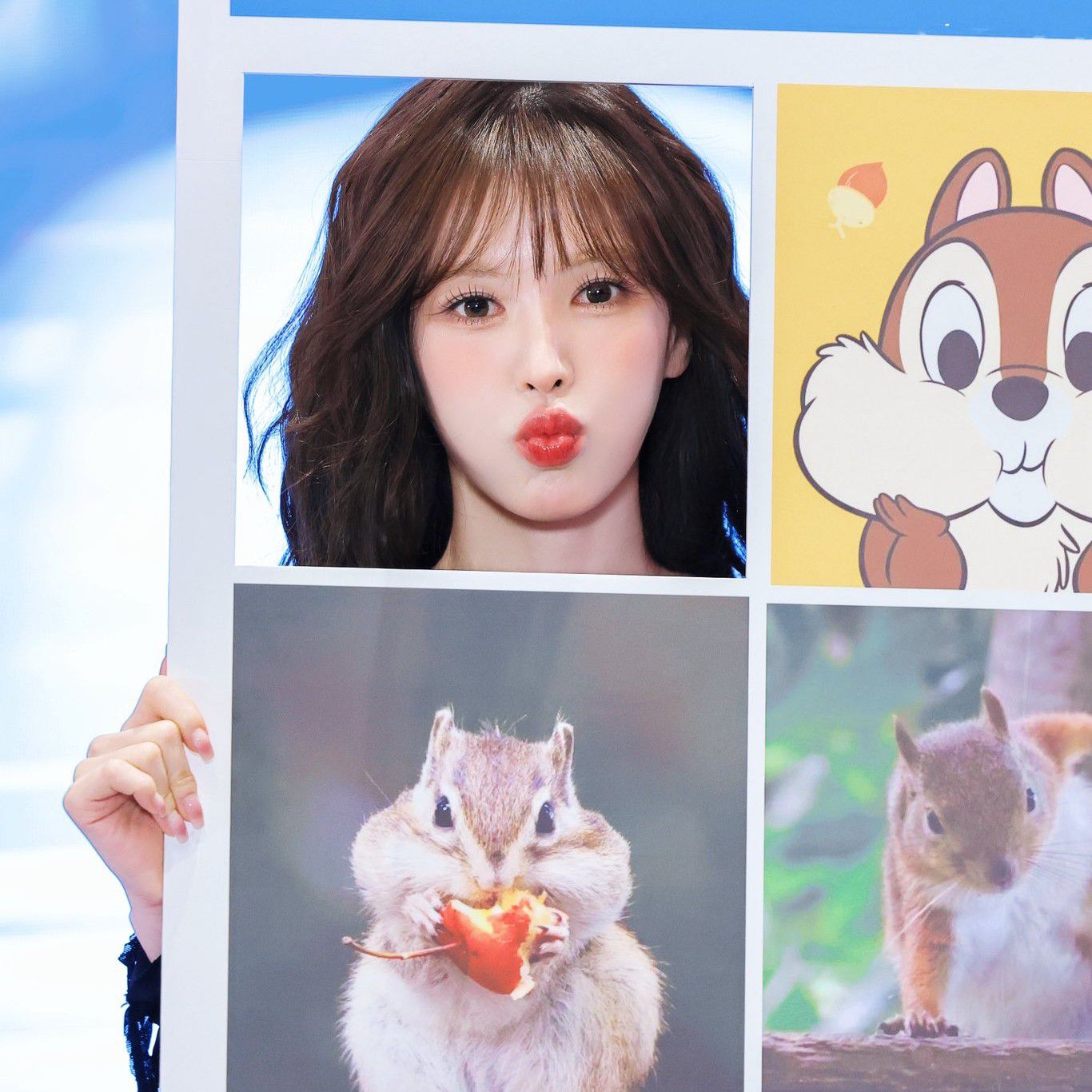 Latest photo of Wendy (Red Velvet)