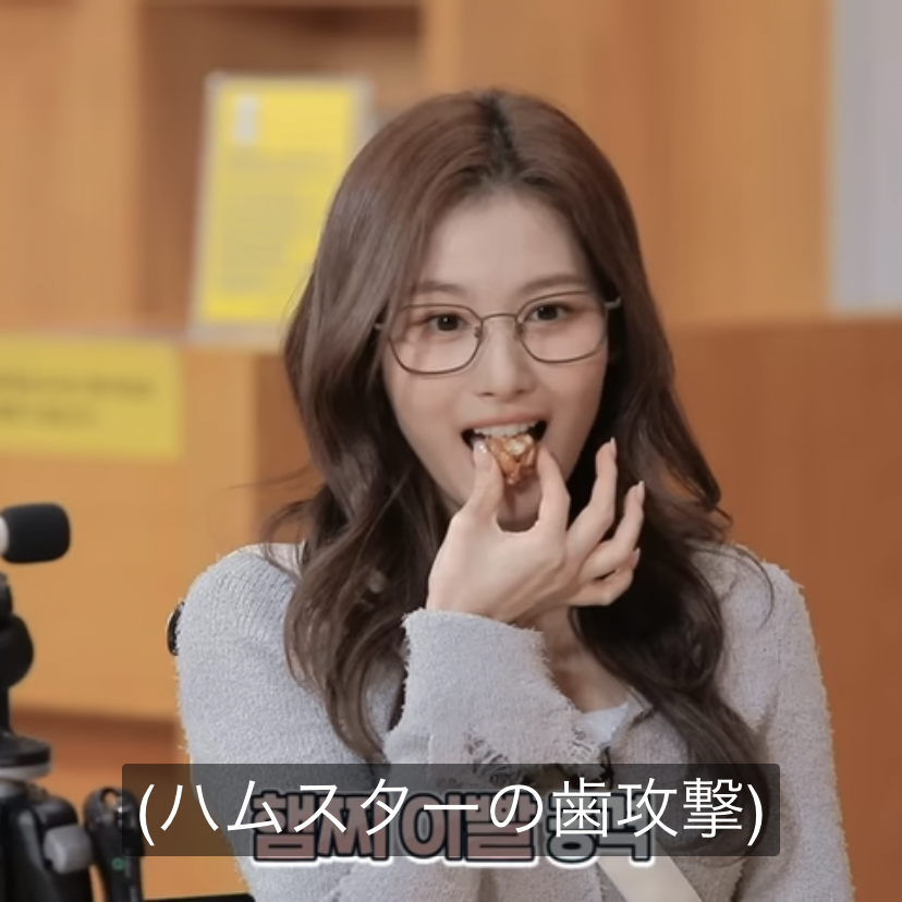 サナ (TWICE)の最近の活動写真
