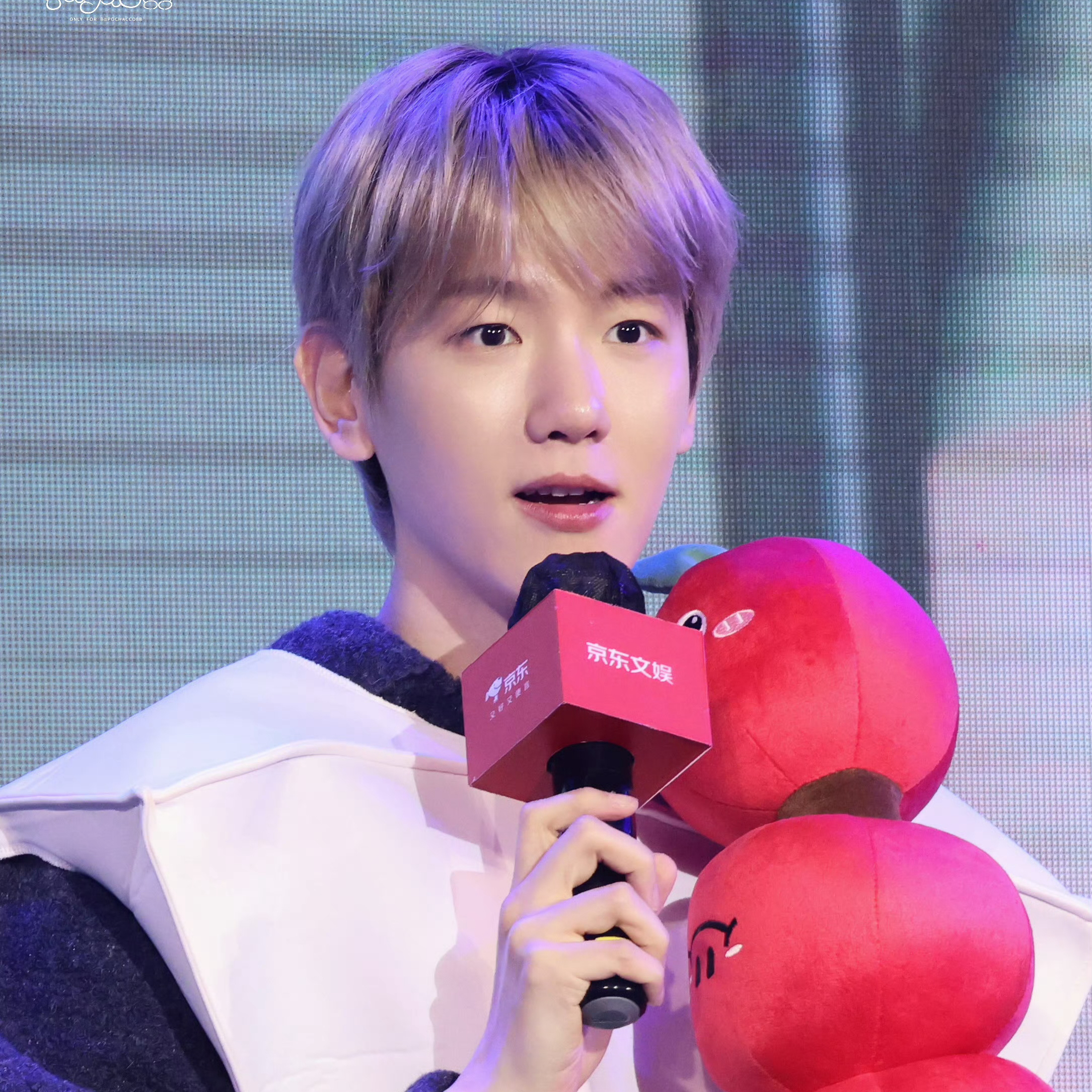 伯賢 (EXO)粉絲拍下的瞬間