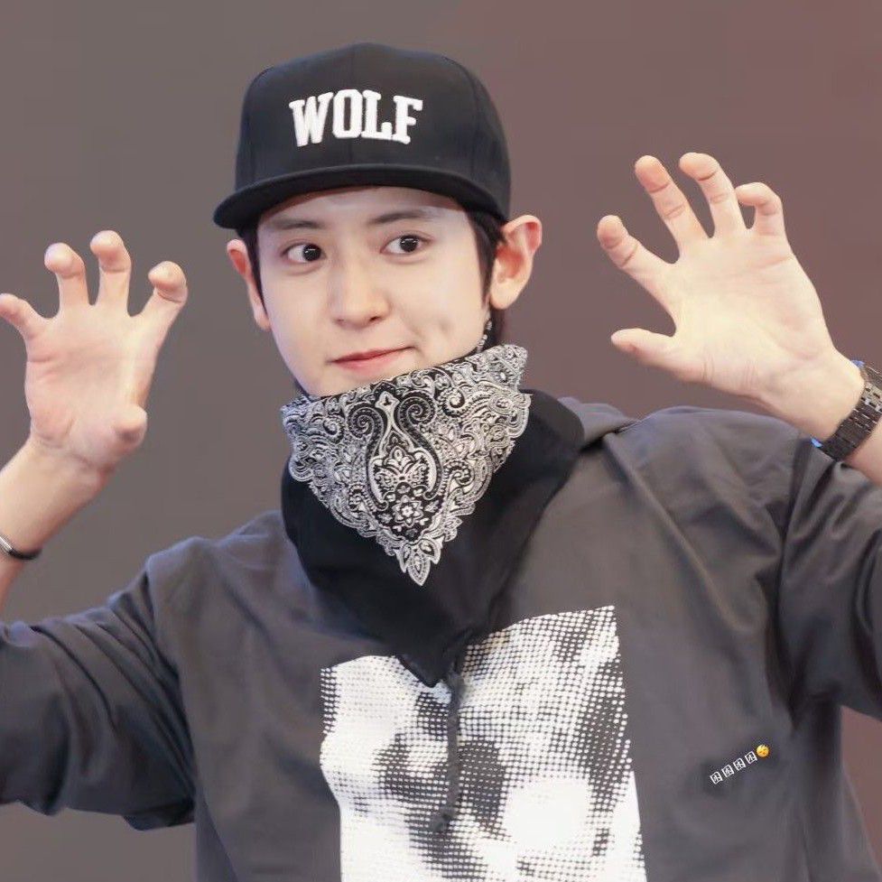 A moment captured by Chanyeol (EXO)'s fan