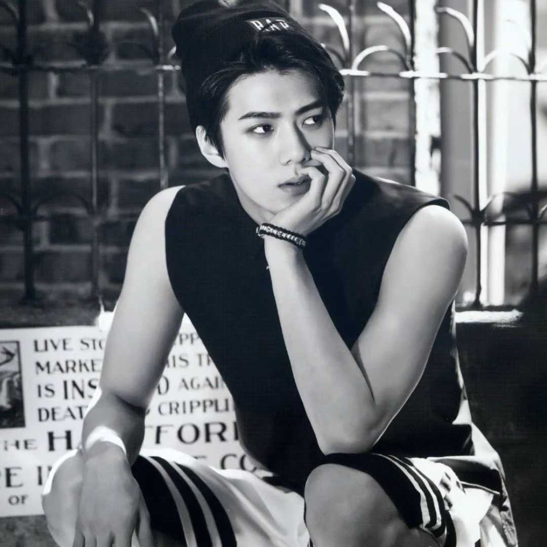 세훈 (EXO) 최근 활동샷