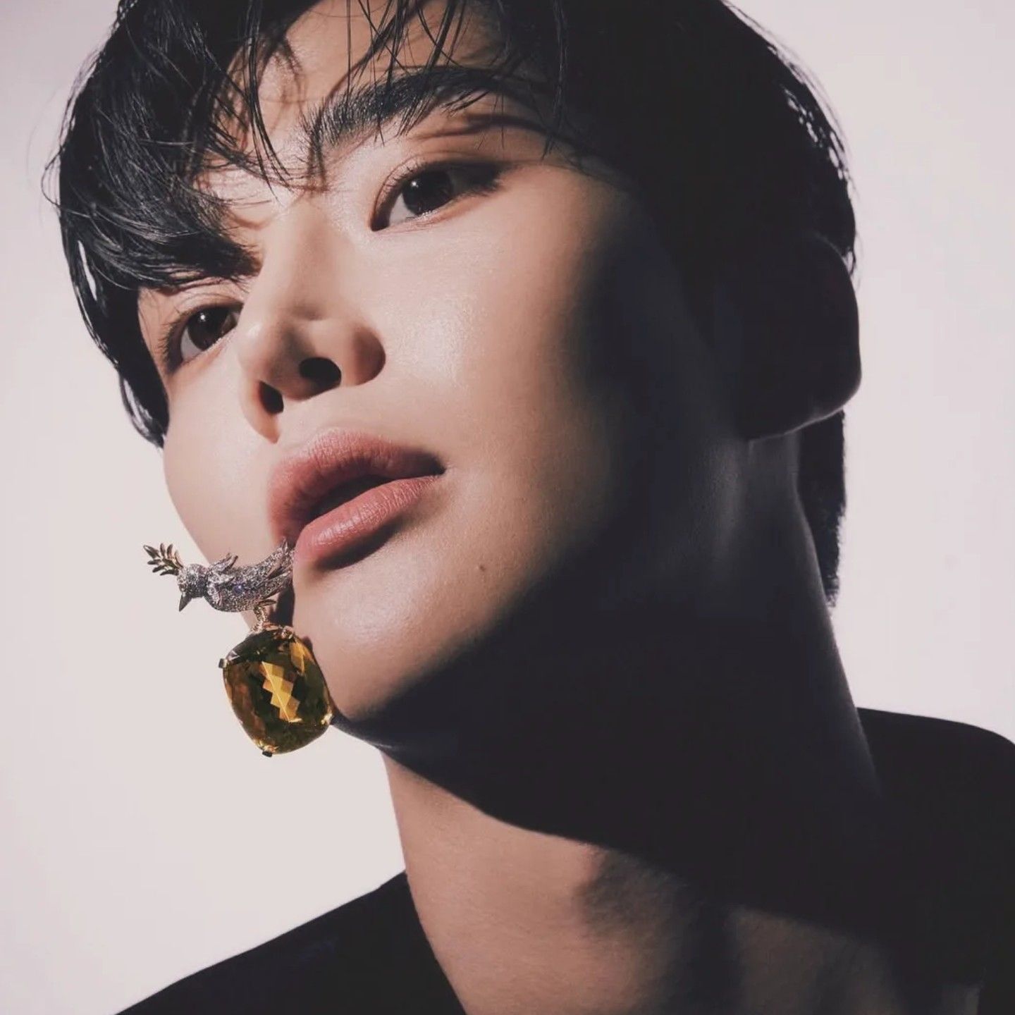 로운 팬이 찍은 순간