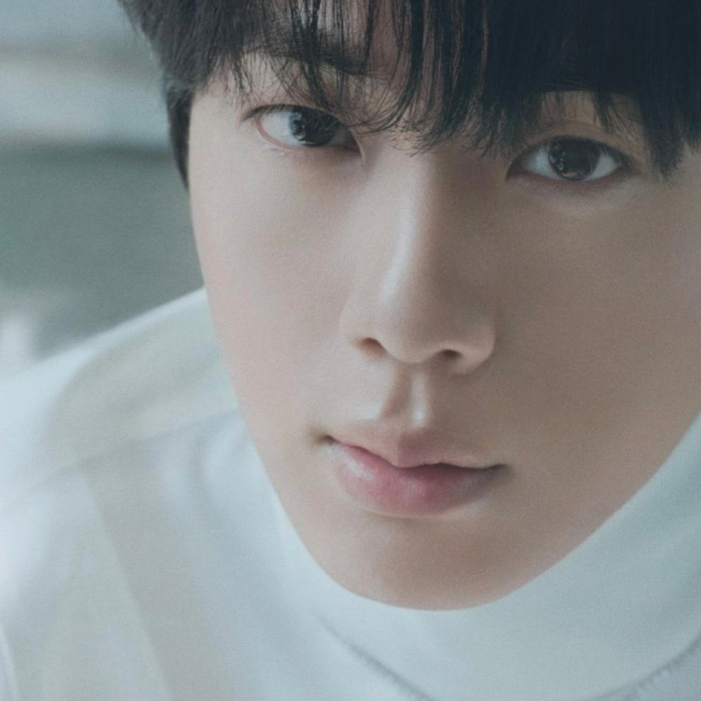 ジン (BTS)ファンが撮った瞬間