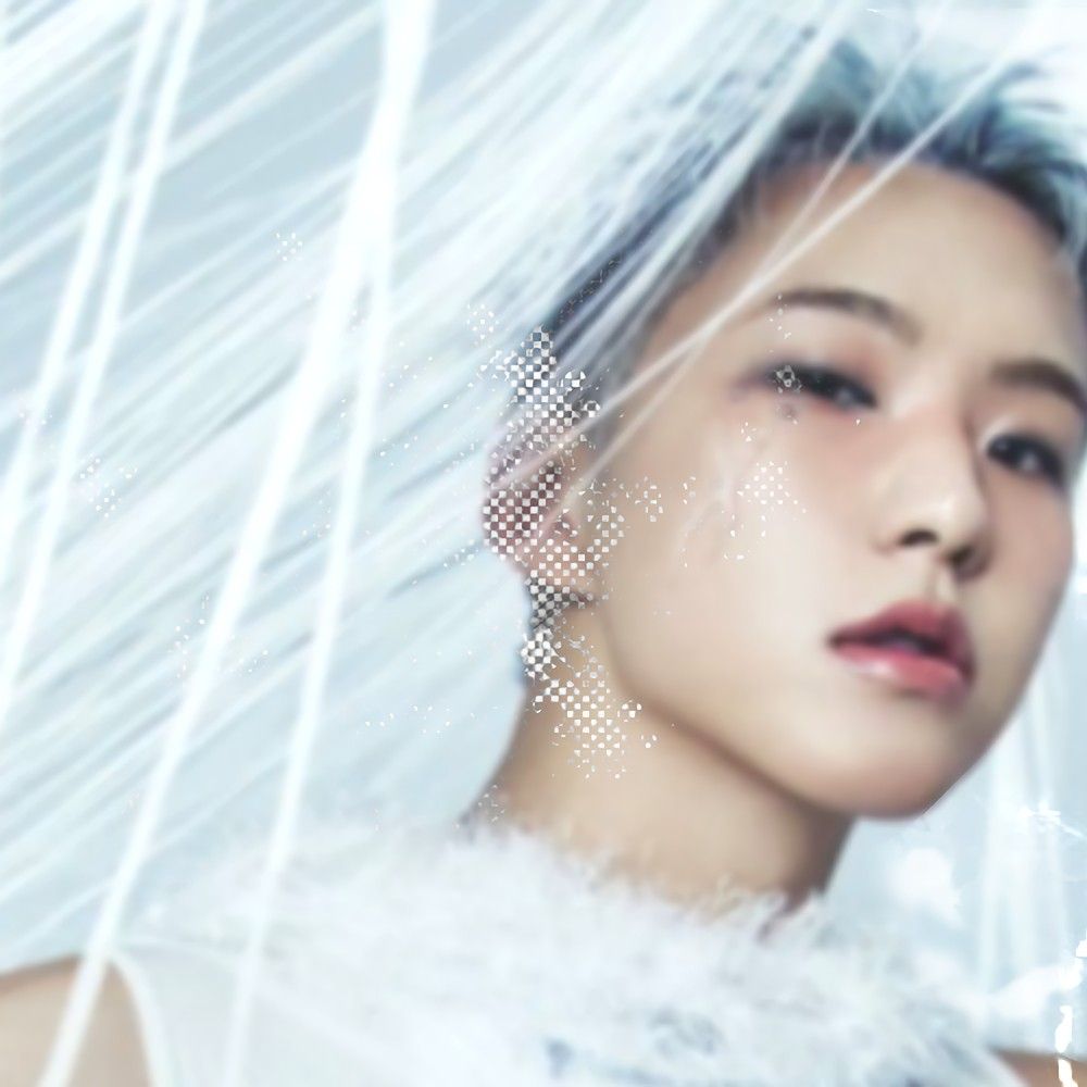 SEVENTEENの最新写真