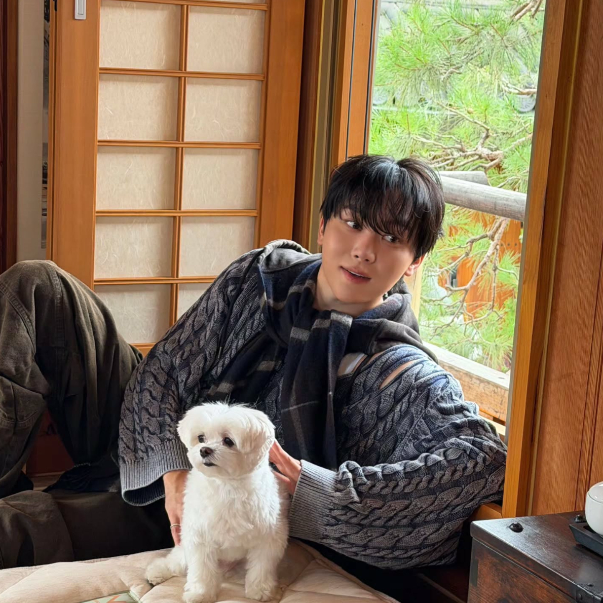 세븐틴의 비하인드 컷