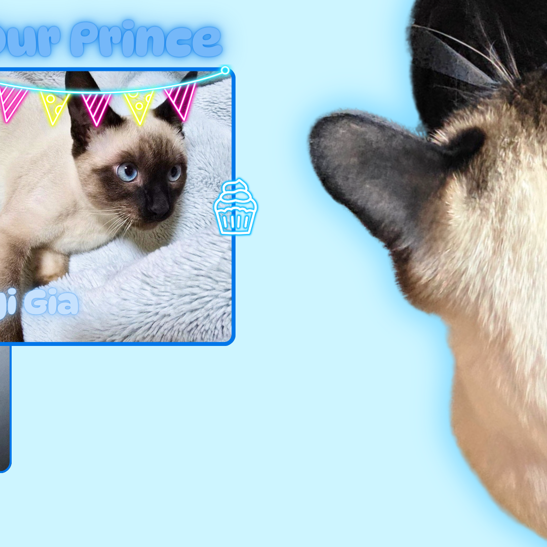 Must-see popular post of 석매튜 (제로베이스원), your favorite