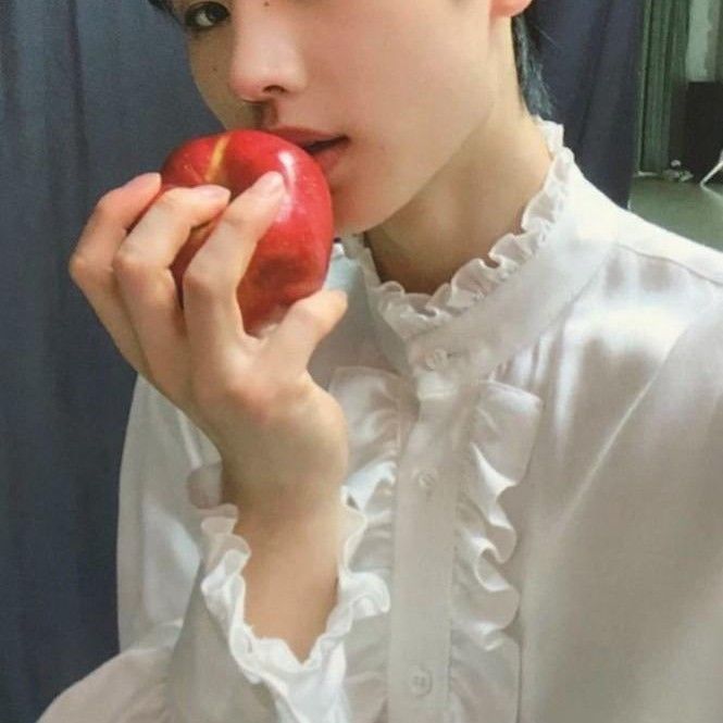 ENHYPEN 팬이 찍은 순간