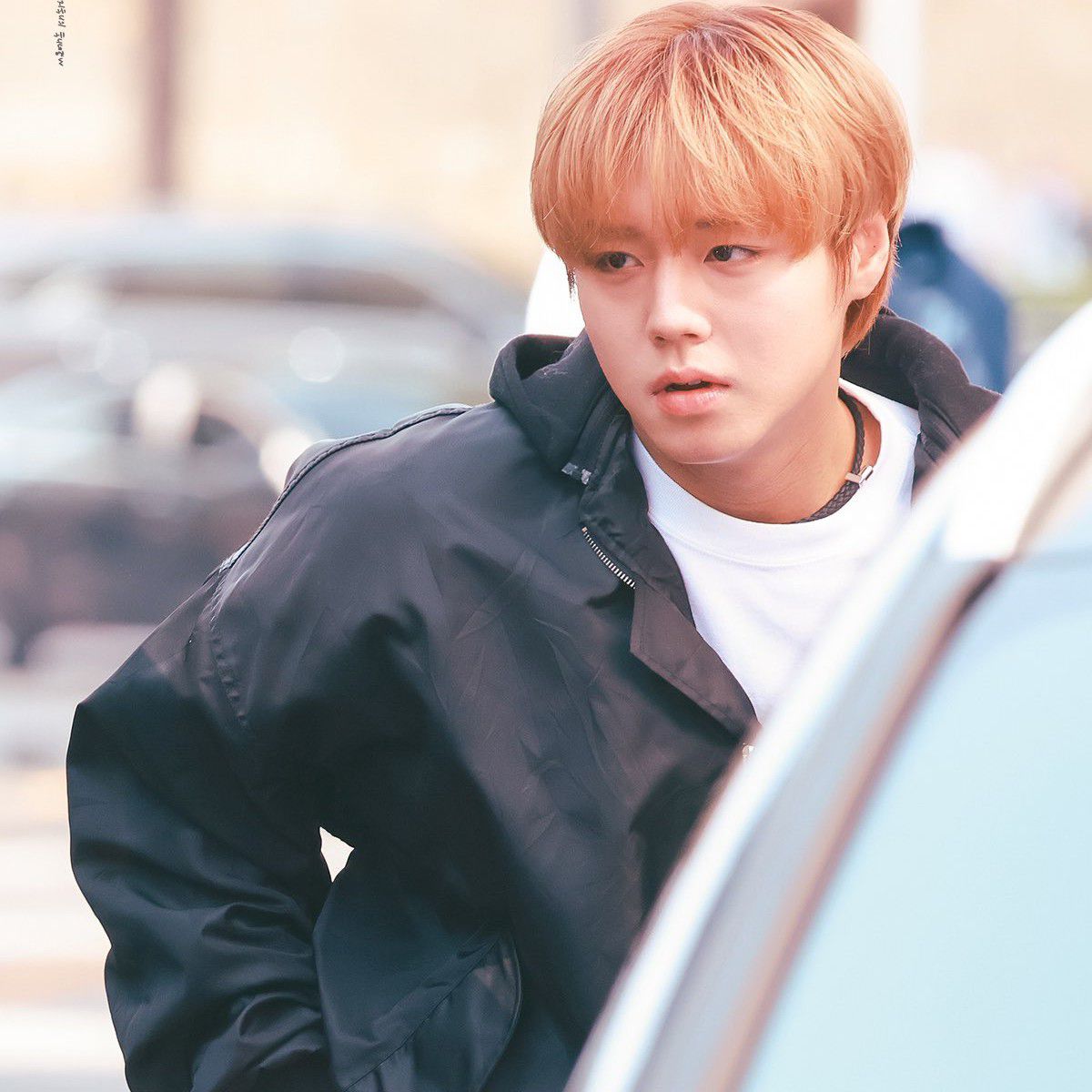 朴志训粉丝拍下的瞬间