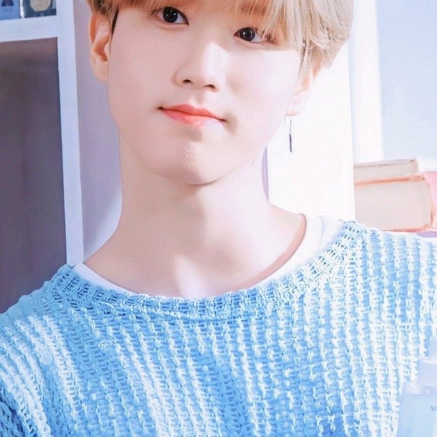 A moment captured by HAN (Stray Kids)'s fan