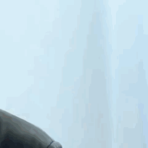 Recent activity shot of Nicholas (&TEAM)