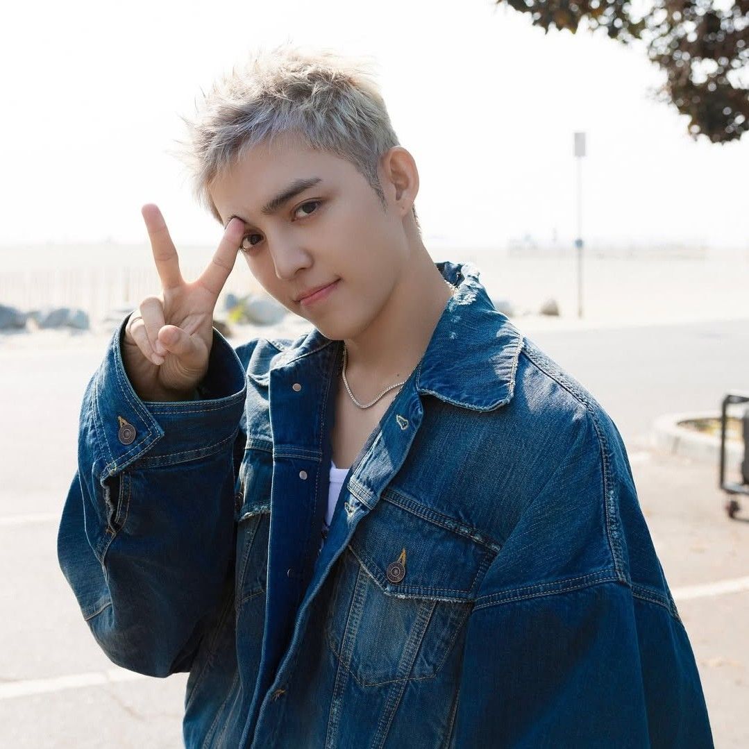A moment captured by S.Coups (SEVENTEEN)'s fan