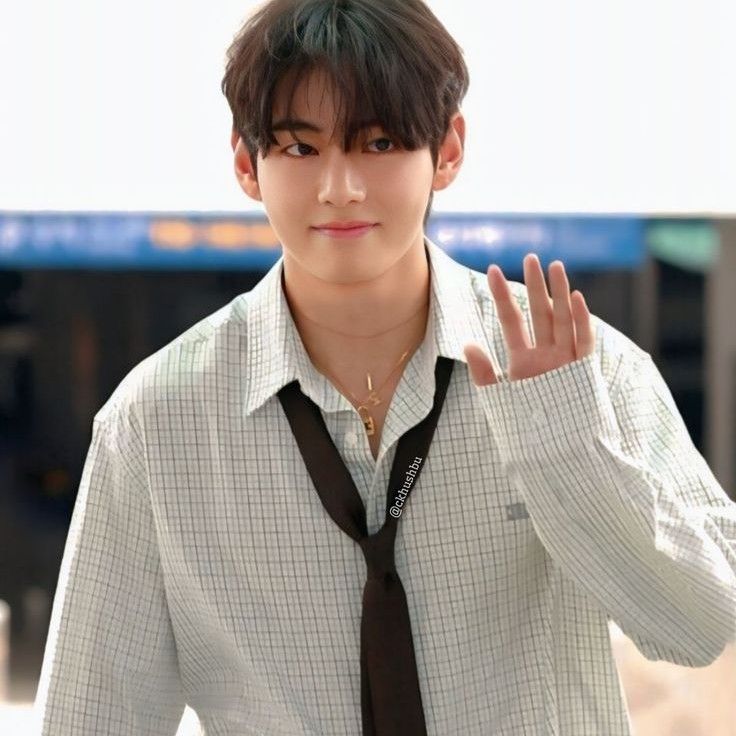 V (防彈少年團)粉絲拍下的瞬間