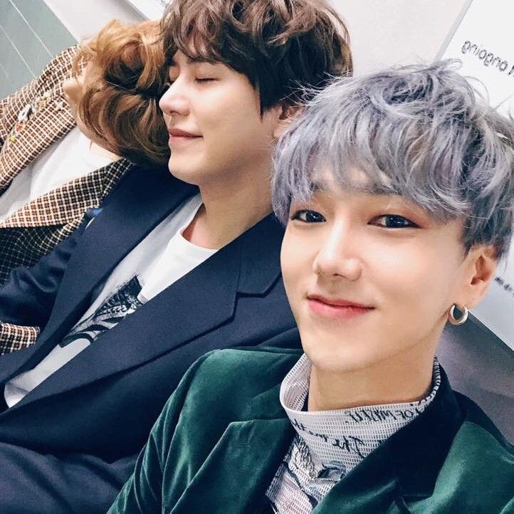 A moment captured by Super Junior's fan