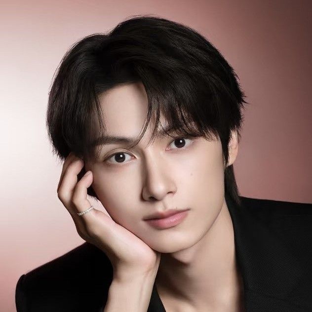 세븐틴 팬이 찍은 순간