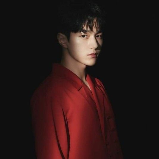 Behind-the-scenes cut of L (INFINITE)