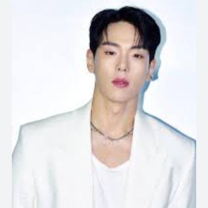 A moment captured by Shownu (MONSTA X)'s fan