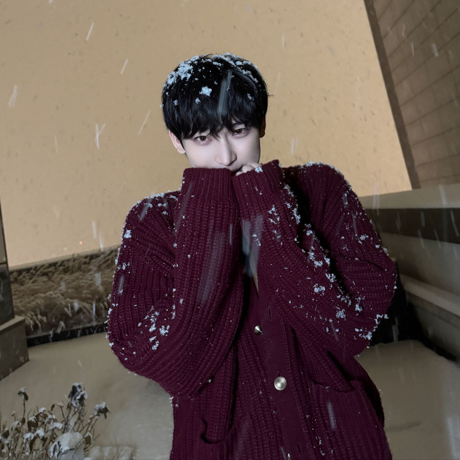 ソヌ (ENHYPEN)の最新写真