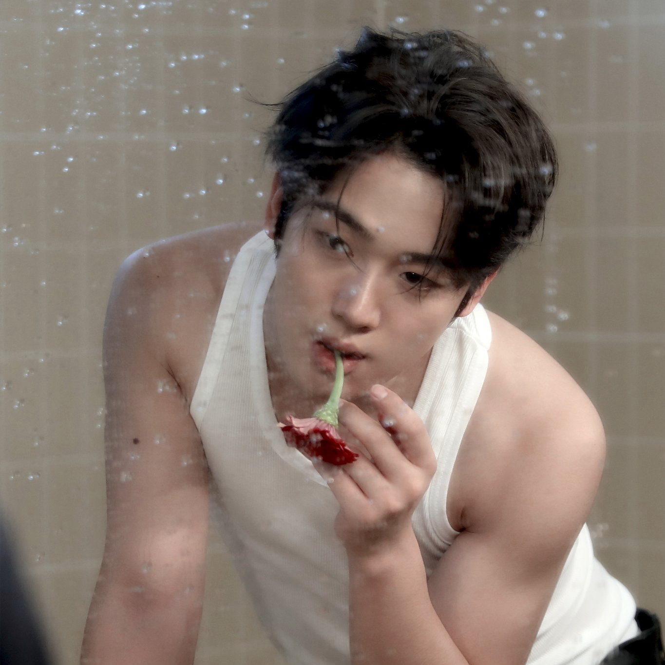 金曜汉 (WEi)的最新照片