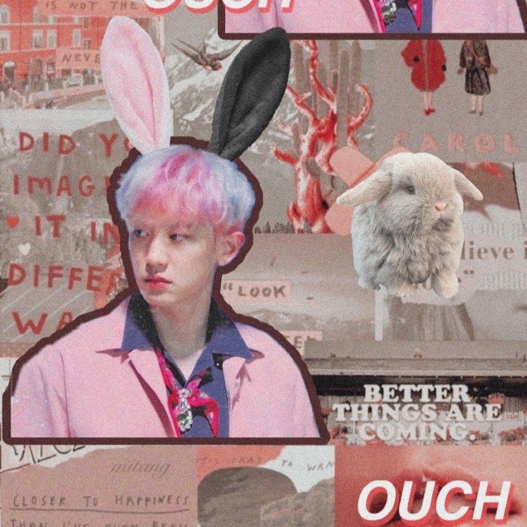 Recent activity shot of Chanyeol (EXO)