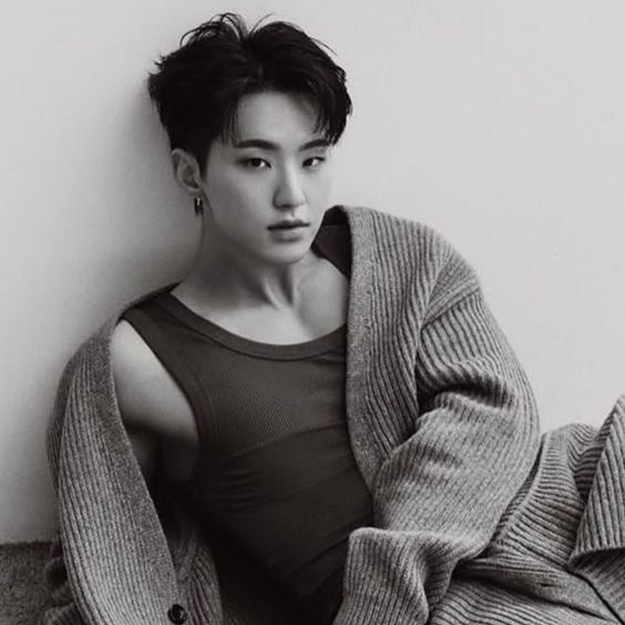 Recent activity shot of Hoshi (SEVENTEEN)