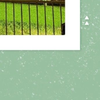 Momen yang diabadikan oleh penggemar SU A (DREAMCATCHER)