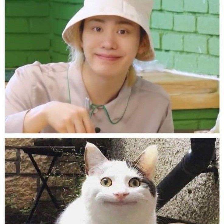 Behind-the-scenes cut of Rocky