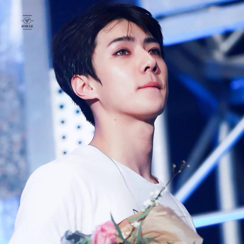 Latest photo of Sehun (EXO)