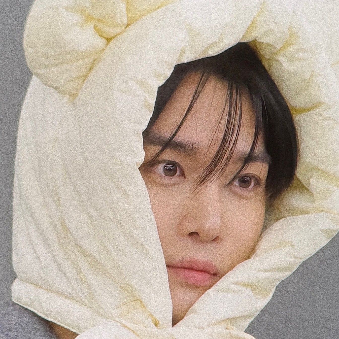 裴珍映粉絲拍下的瞬間