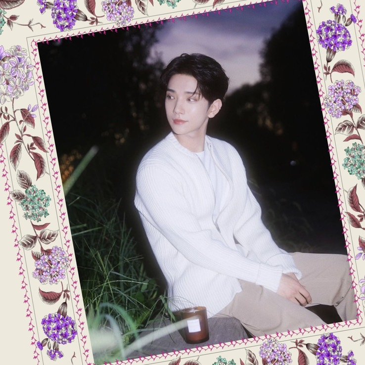 A moment captured by Joshua (SEVENTEEN)'s fan