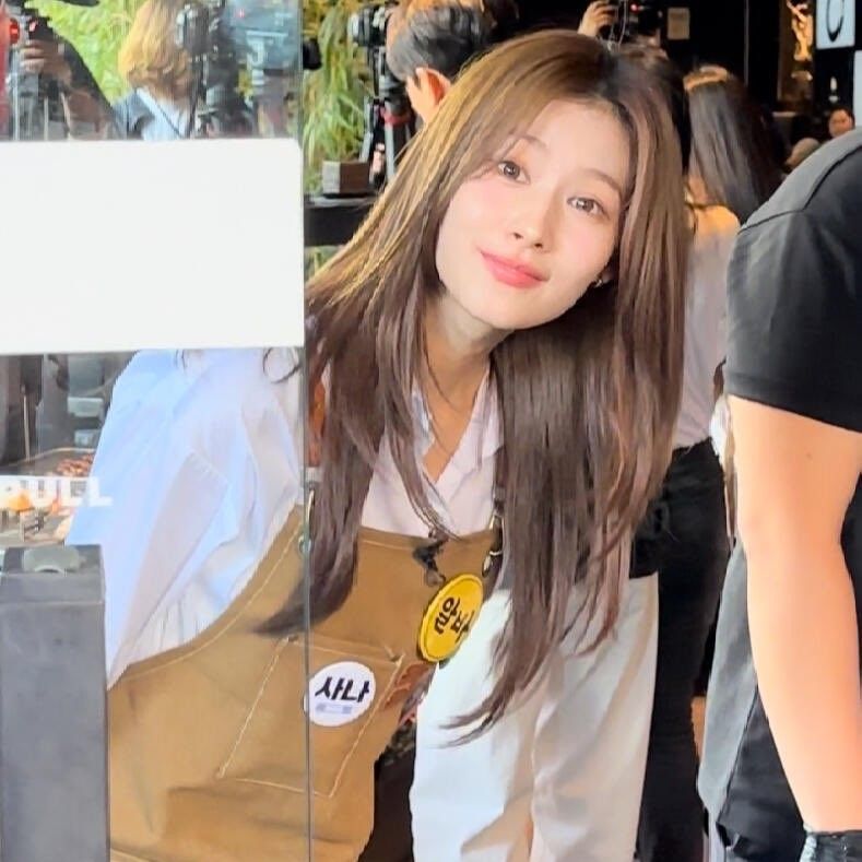 Recent activity shot of Sana (TWICE)