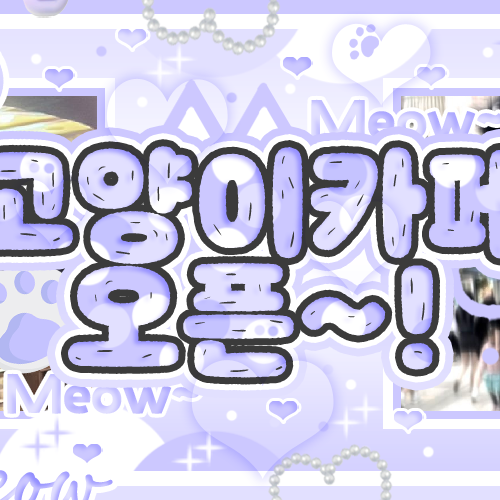 Latest photo of Jang Haneum