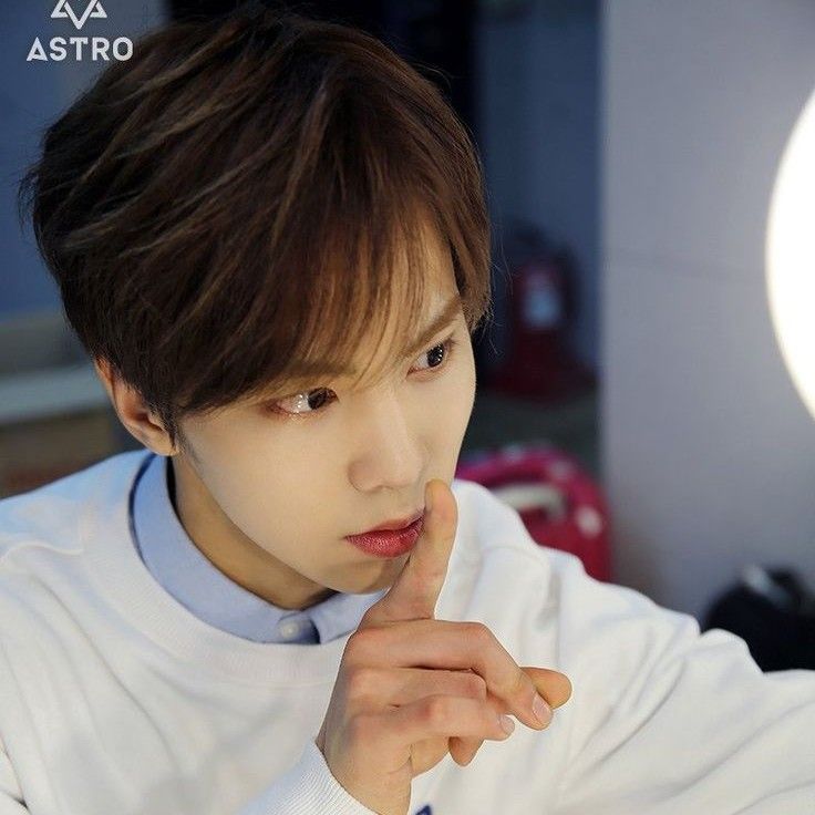 Recent activity shot of Rocky