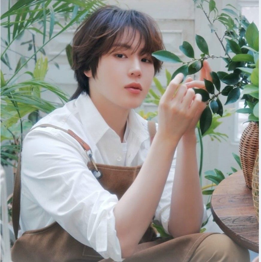 Potret di balik layar Ha Sungwoon