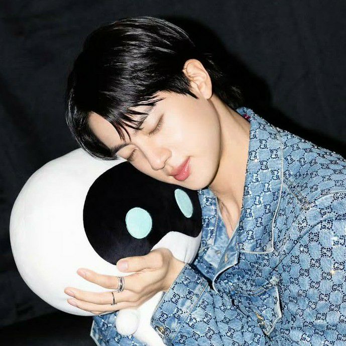 진 (방탄소년단) 팬이 찍은 순간