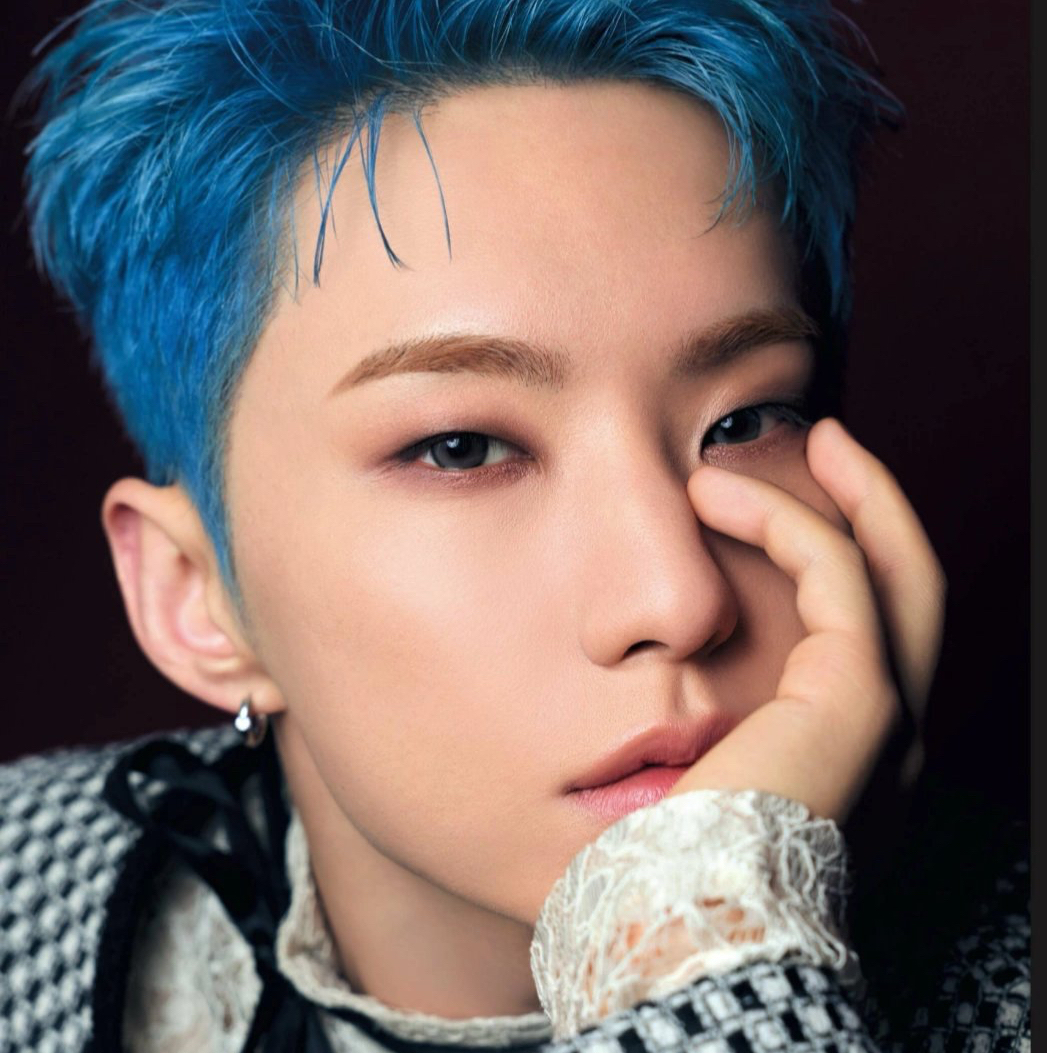 Hoshi (SEVENTEEN)粉絲拍下的瞬間