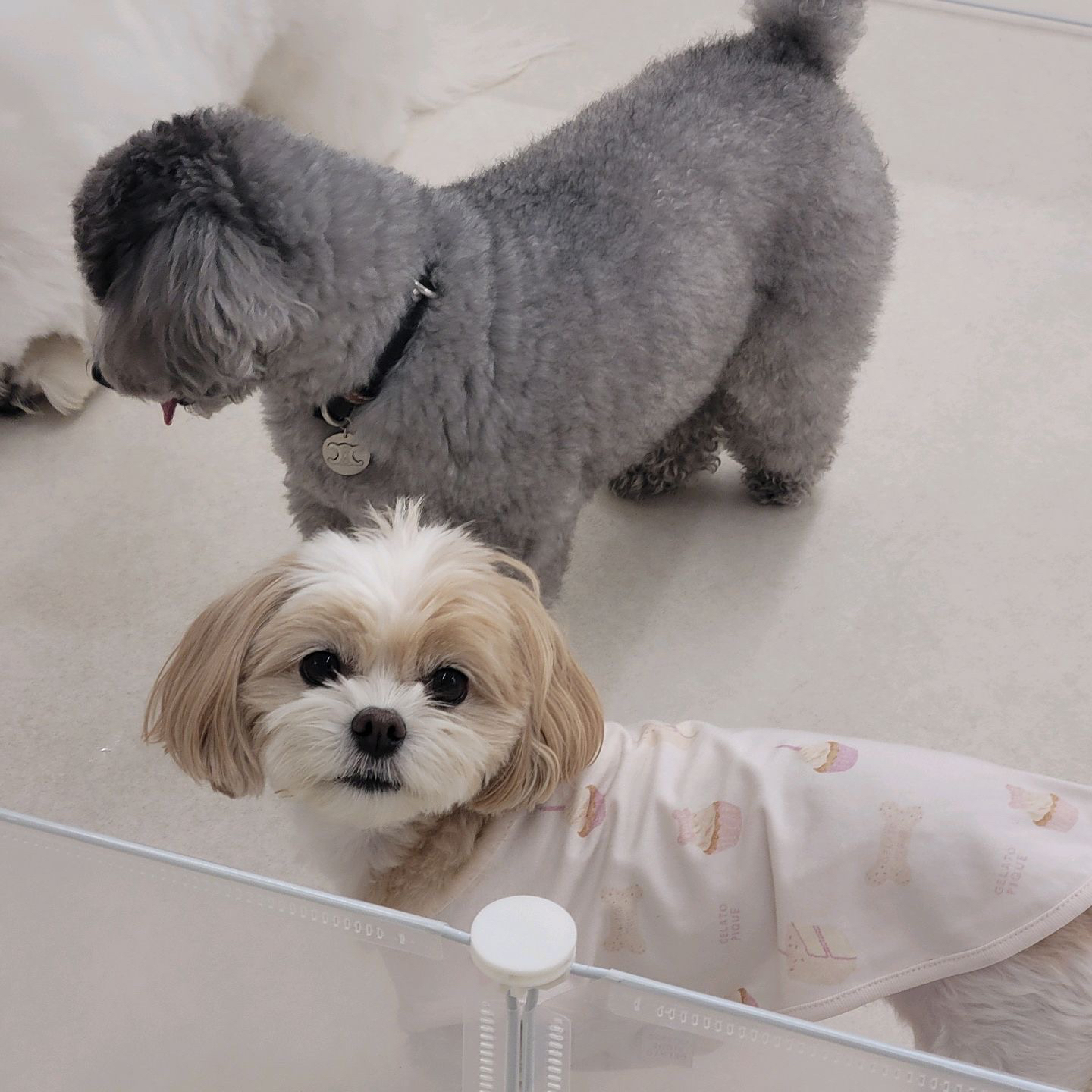 EXO의 비하인드 컷