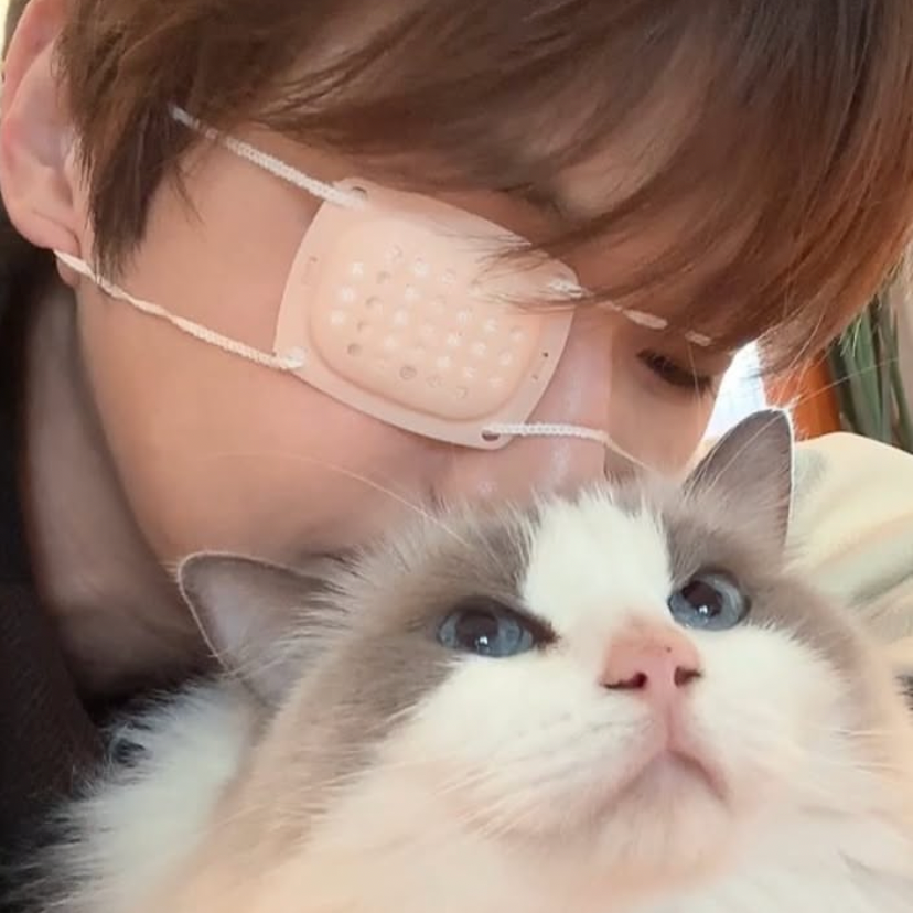 カン・ダニエルの最近の活動写真