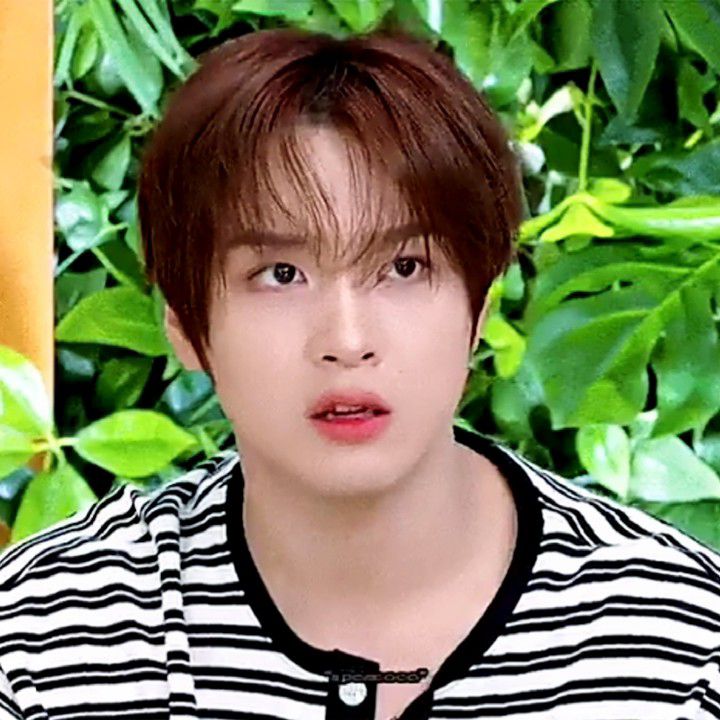 Recent activity shot of Haechan (NCT 127, NCT DREAM)