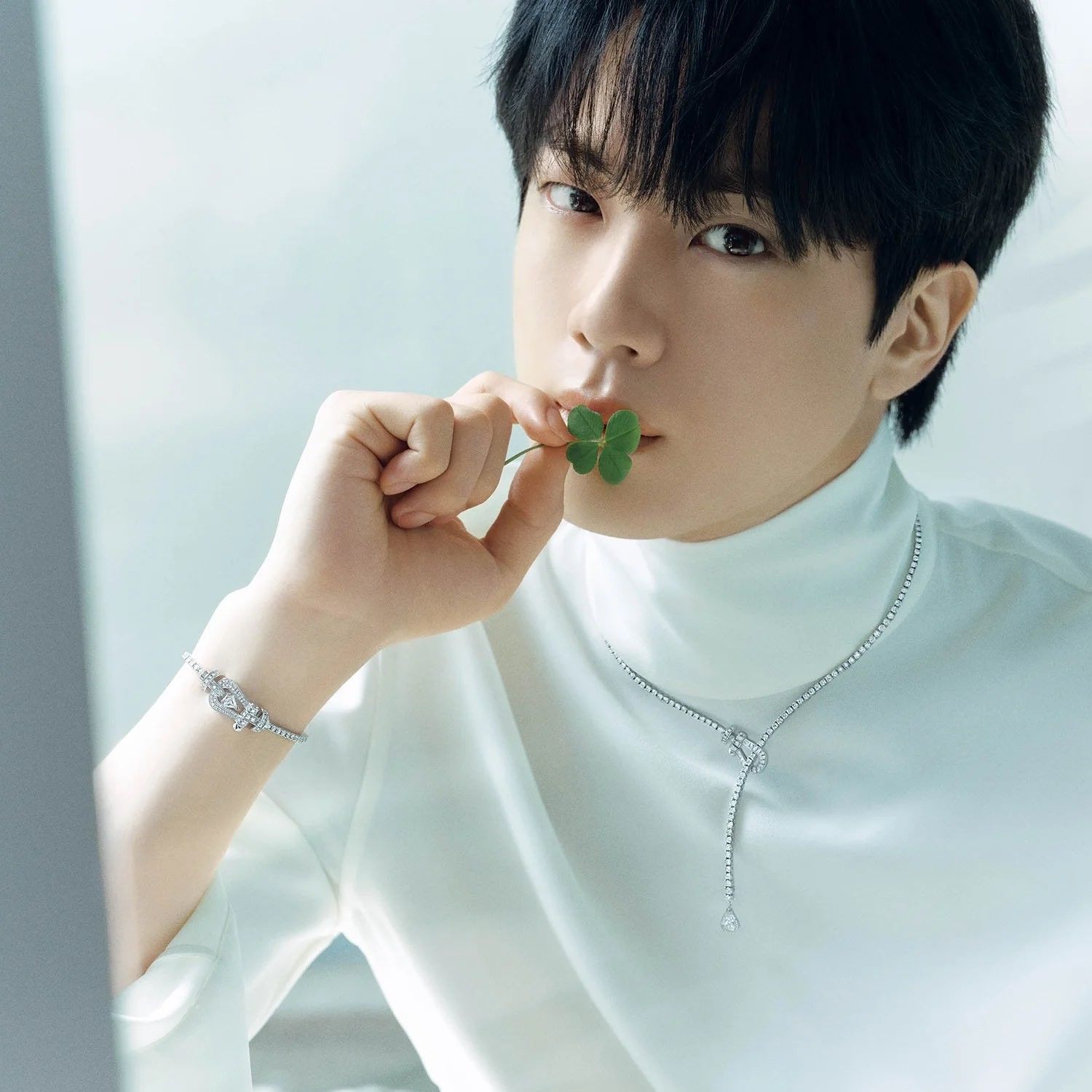 진 (방탄소년단) 팬이 찍은 순간