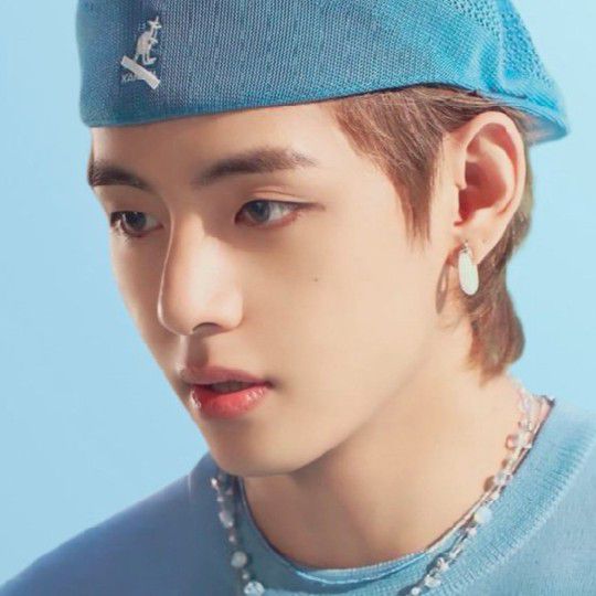 뷔 (방탄소년단) 팬이 찍은 순간