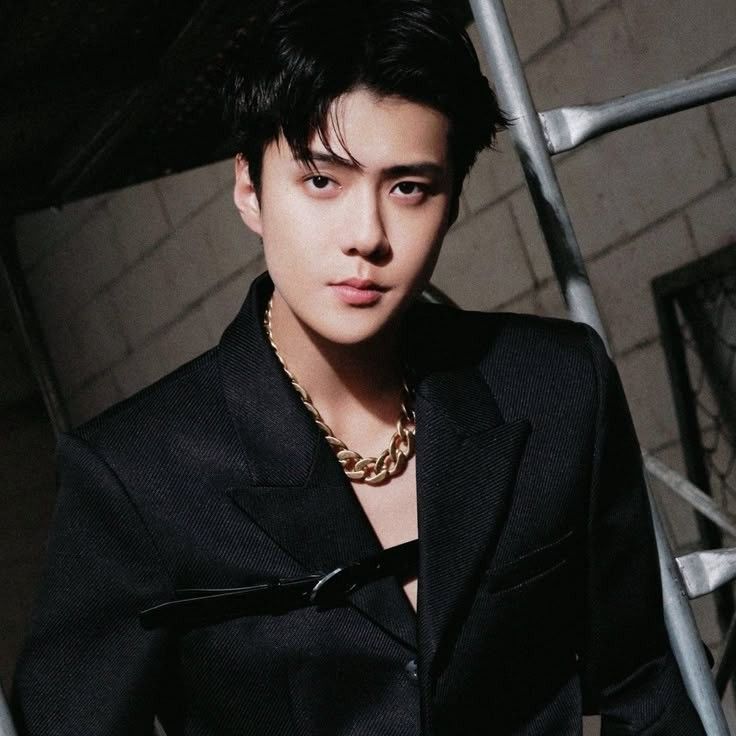 세훈 (EXO) 최근 활동샷