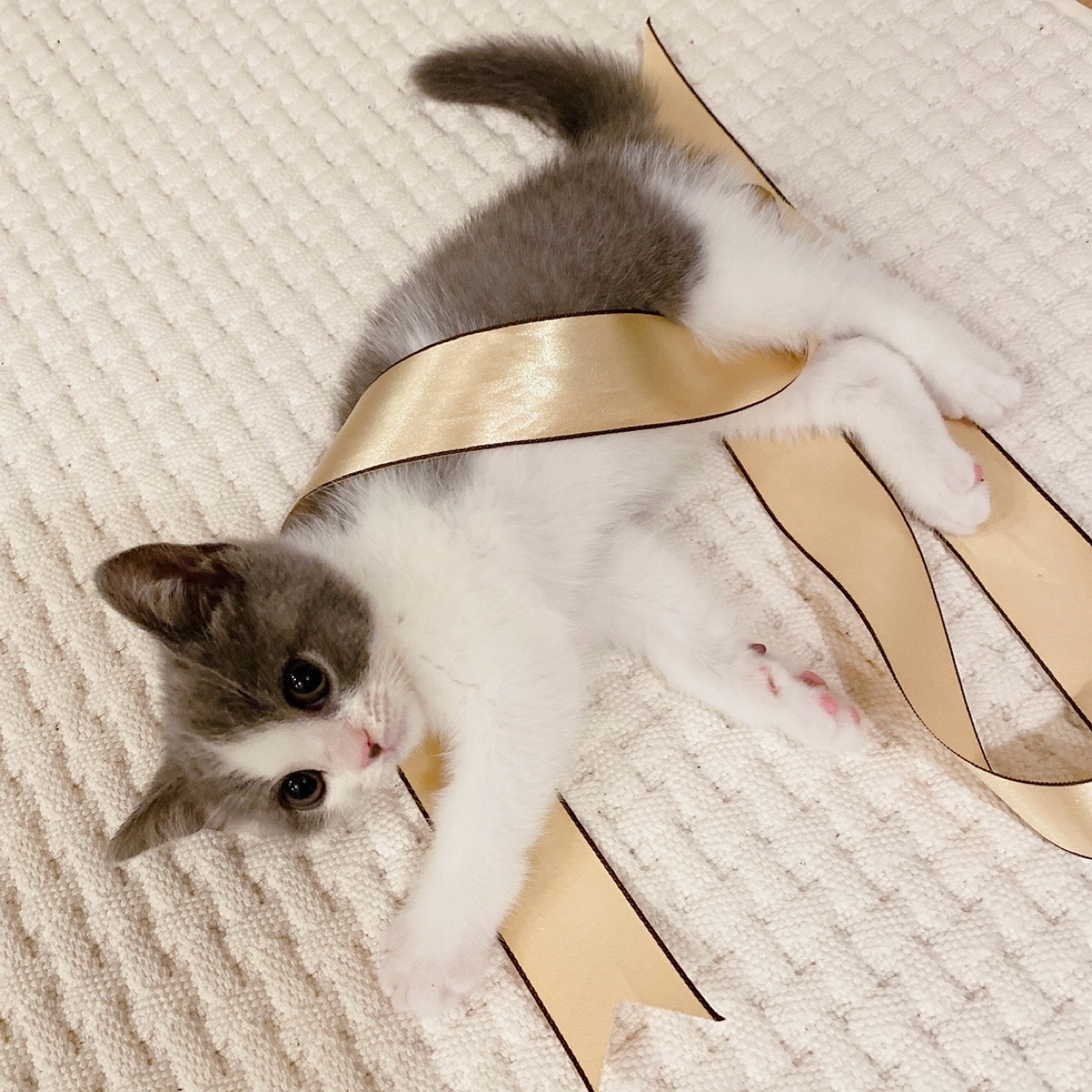 泰民 (SHINee)粉絲拍下的瞬間