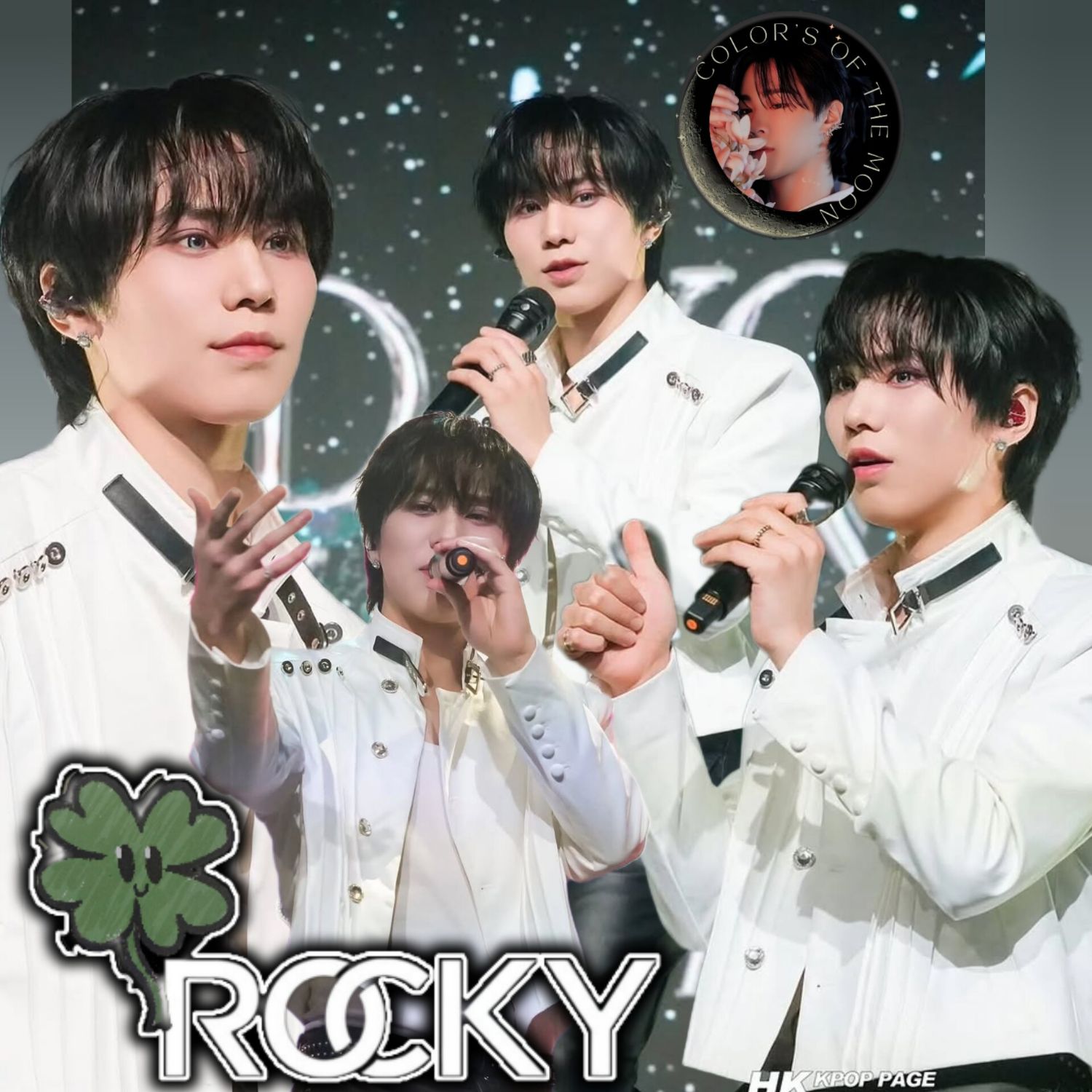 Recent activity shot of Rocky